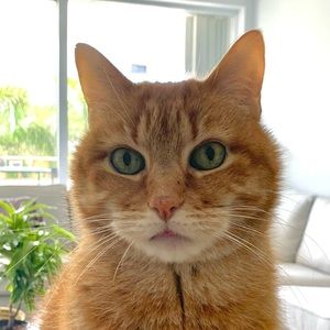 Meet your Posher, Daniela